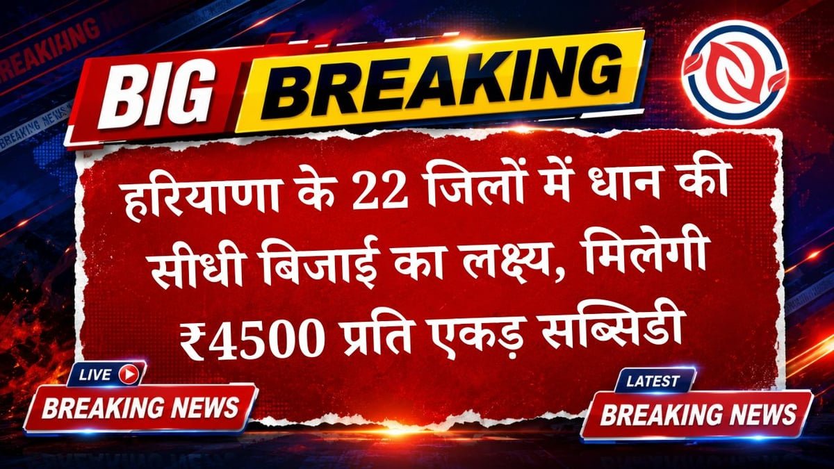 धान की सीधी रोपाई (DSR) योजना का हुआ विस्तार; पहली बार हरियाणा के 22 जिले शामिल, 5 लाख एकड़ का लक्ष्य