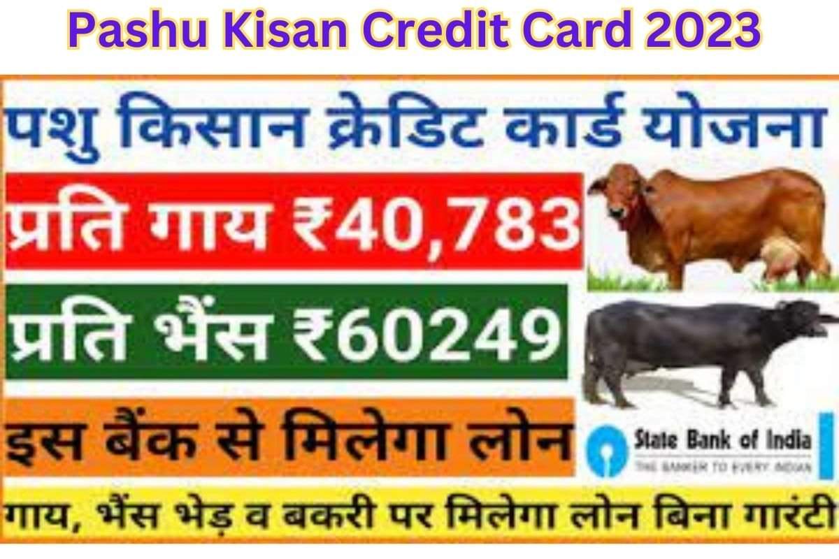 Pashu Kisan Credit Card 2023 : कैसे प्राप्त करे पशु किसान क्रेडिट कार्ड योजना लोन से मिलने वाला लाभ ,जानिए सम्पूर्ण जानकारी