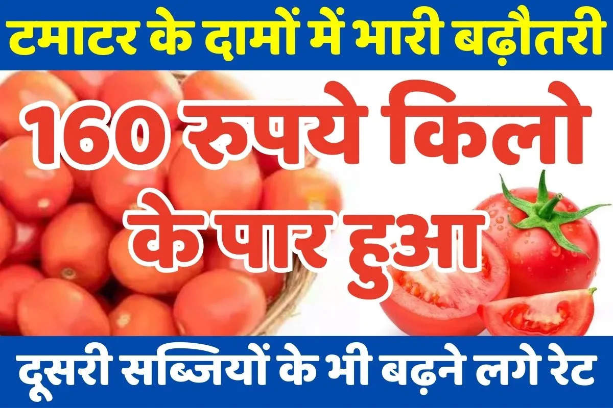 Tomatoes Prices: टमाटर हुआ 160 रुपये किलो, लेकिन दूसरी सब्जियों के क्यों बढ़ने लगे रेट, क्या महंगाई बढ़ने वाली है?