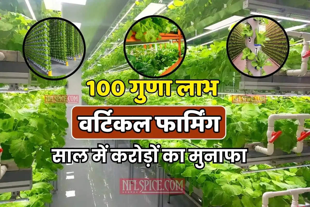 वर्टिकल फार्मिंग (Vertical Farming) क्या होती है? - 100 गुणा लाभ, साल में करोड़ों का मुनाफा