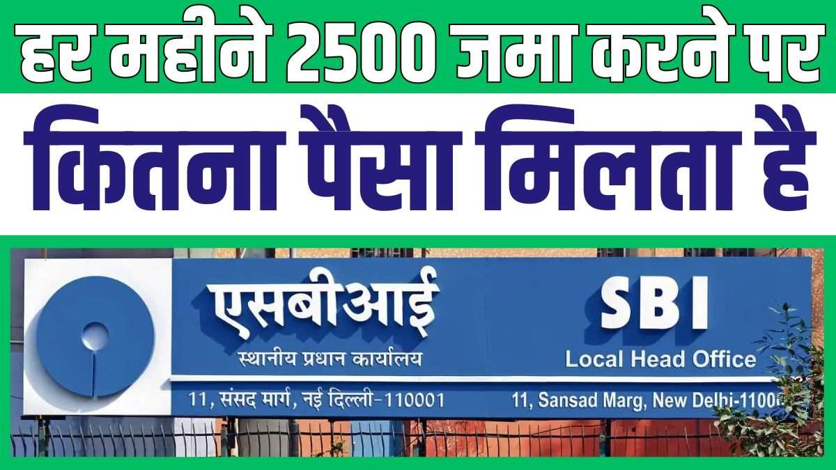 SBI पीपीएफ स्कीम में हर महीने 2500 जमा करने पर कितना पैसा मिलता है, यहां देखें ब्याज के साथ पूरी गणना