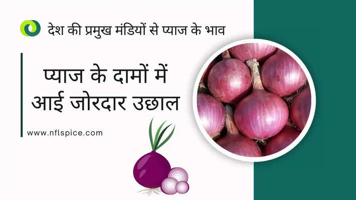 Onion Rates