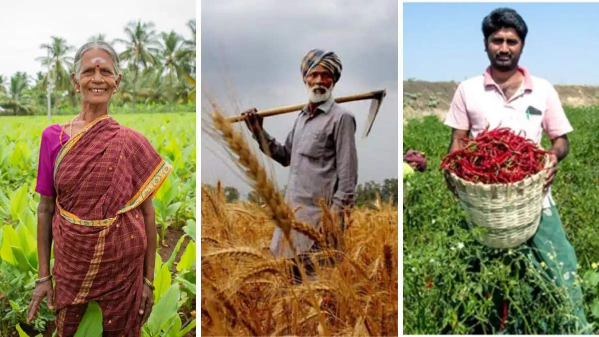 PM Kisan Yojana: How many farmers received the installment, how many women farmers are there in the country?