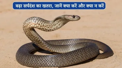 उत्तराखंड: अल्मोड़ा में बढ़ा सर्पदंश का खतरा, CMO ने जारी की एडवाइजरी; जानें क्या करें और क्या न करें