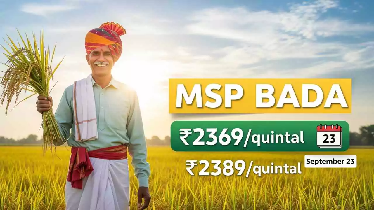 हरियाणा के किसानों के लिए बड़ी राहत: MSP बढ़ा, 23 सितंबर से शुरू होगी धान खरीद