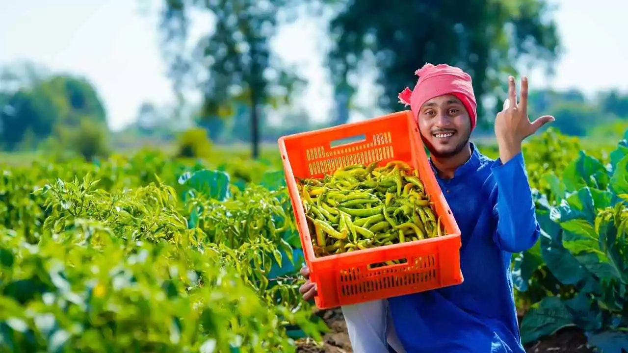 PM Kisan Yojana 21st Installment: 21वीं किस्त जारी, बाढ़ प्रभावित किसानों को मिली राहत