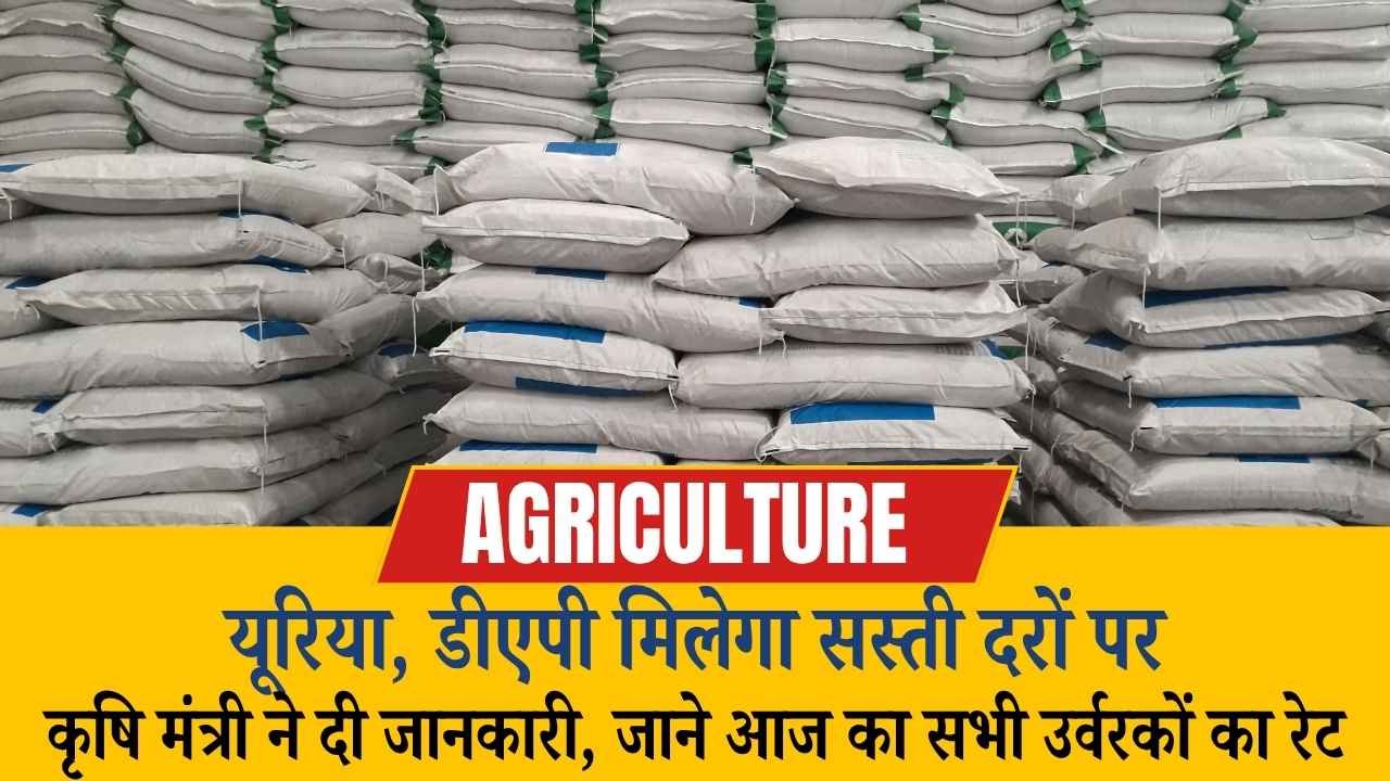 किसानों को सस्ते में मिलेगा उर्वरक, कृषि मंत्री ने दी जानकारी! ये है आज के यूरिया ओर अन्य खादों के दाम
