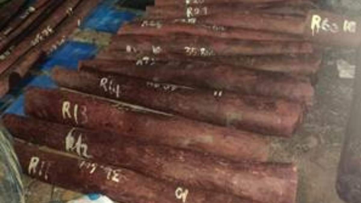 चेन्नई में डीआरआई की बड़ी कार्रवाई: 15 टन लाल चंदन बरामद, तस्करी नेटवर्क बेनकाब