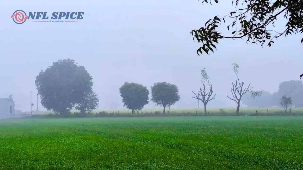 हरियाणा में ठंड का कहर: बर्फीली हवाओं और घने कोहरे से जनजीवन प्रभावित, कई जगहों पर बूंदाबांदी की आशंका