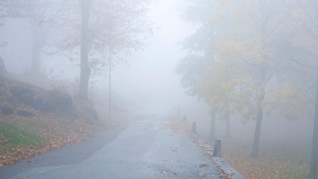 हरियाणा में 9 दिसंबर से कड़क सर्दी की एंट्री! छह जिलों में येलो अलर्ट, तापमान तेजी से लुढ़कने की चेतावनी