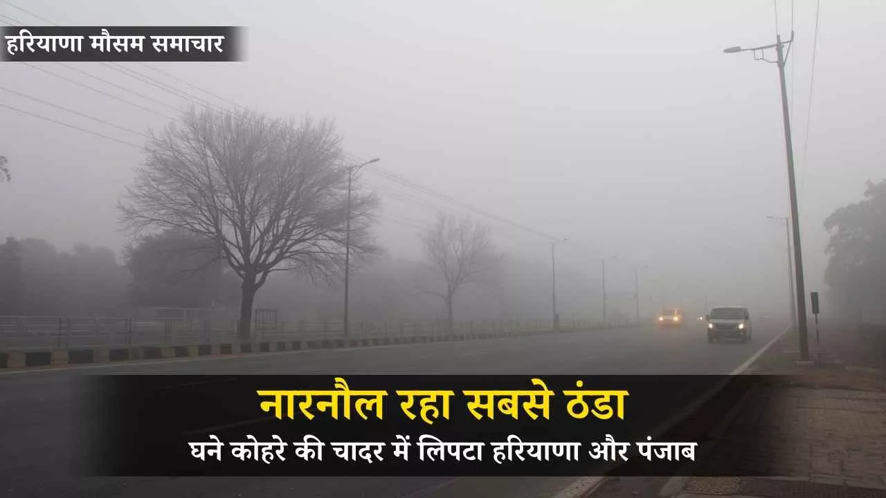 घने कोहरे की चादर में लिपटा हरियाणा और पंजाब, नारनौल रहा सबसे ठंडा, गाड़ियों की रफ्तार थमी