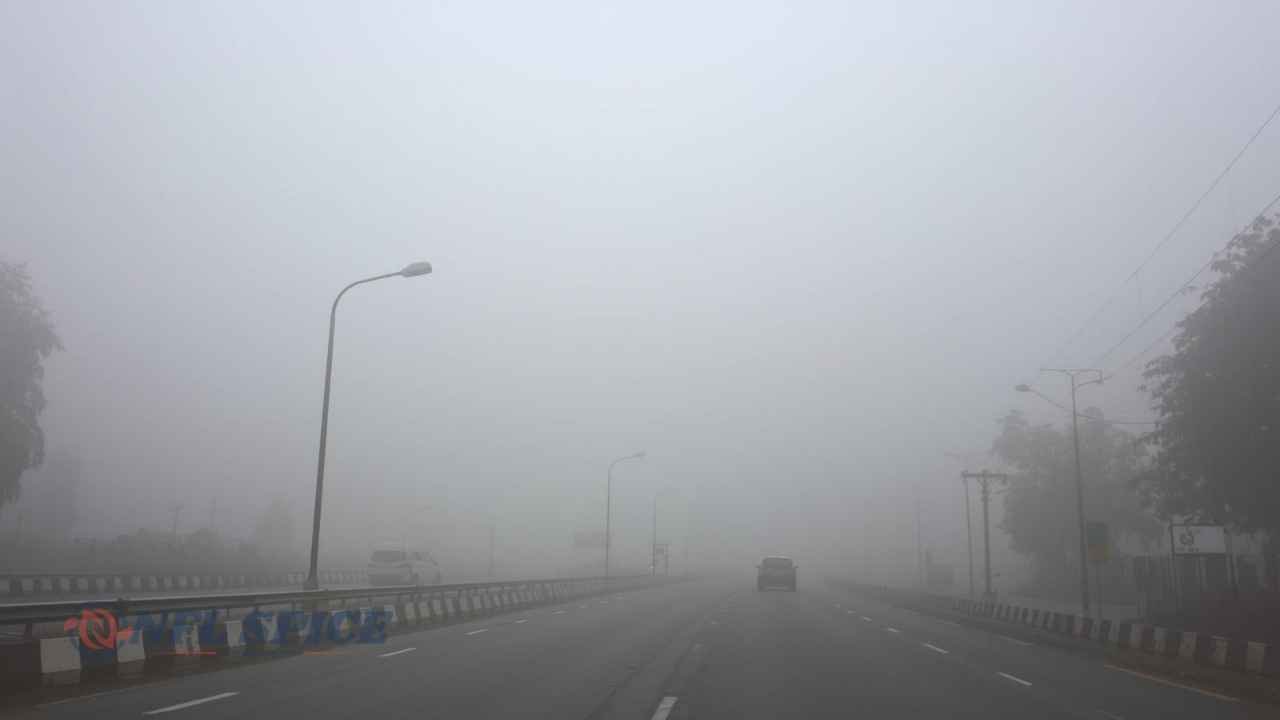 रेवाड़ी में घने कोहरे की मार: 10 मीटर तक घटा विजिबिलिटी, हादसे का खतरा बढ़ा; NCR में सर्दी चरम पर