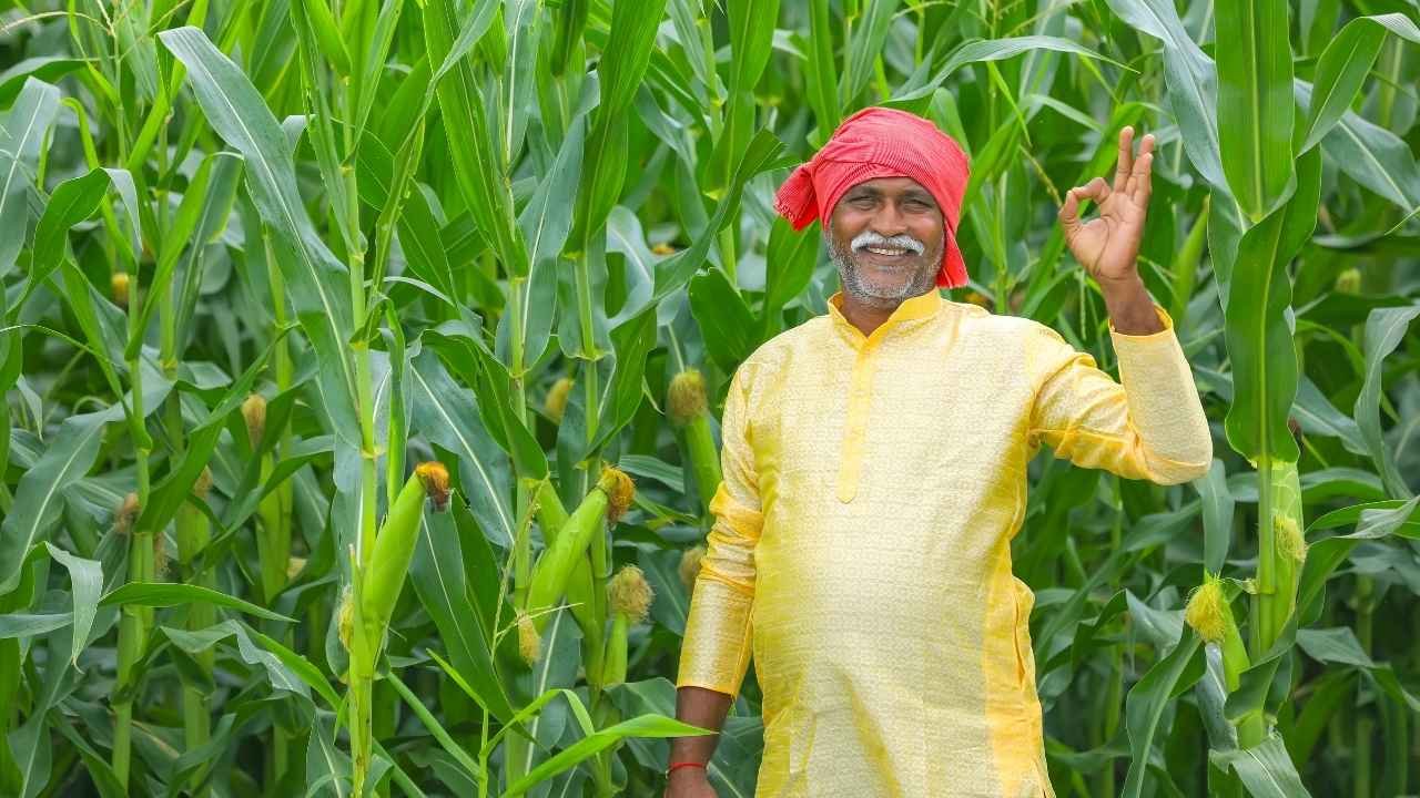 PM Kisan 22nd Installment: 24 फरवरी या होली का तोहफा? करोड़ों किसानों के इंतजार के बीच आया ये बड़ा अपडेट, इन गलतियों पर कटेगा पैसा