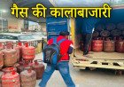 बादशाहपुर में बड़ी छापेमारी