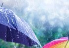 Haryana Weather Update