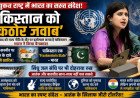 UN में भारत का पाकिस्तान पर तीखा जवाब, आतंकवाद पर घेरा