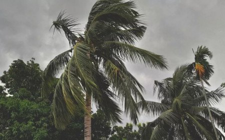 अगले 48 घंटे में इन 3 राज्यों में होगी एंट्री