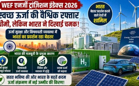 स्वच्छ ऊर्जा की वैश्विक दौड़ धीमी, फिर भी भारत ने दिखाई तैयारी की मजबूती