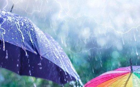 Haryana Weather Update