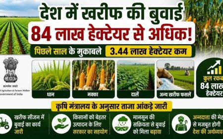 खरीफ फसलों की बुवाई 84 लाख हेक्टेयर के पार, पिछले साल की तुलना में दर्ज हुई मामूली गिरावट