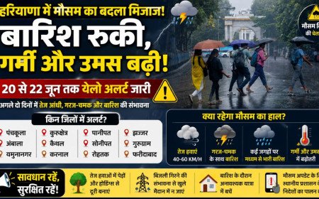 Haryana Weather Update: हरियाणा के 13 जिलों में बारिश और आंधी का अलर्ट, 50 KM/H तक चल सकती है धूलभरी हवाएं