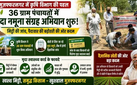 36 ग्राम पंचायतों में पहुंची कृषि विभाग की टीम, खेतों से लिए गए मिट्टी के नमूने