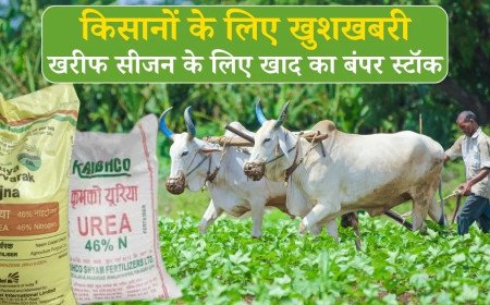 जून में समंदर के रास्ते आएगी 25 LMT खाद, बजट की कोई कमी नहीं