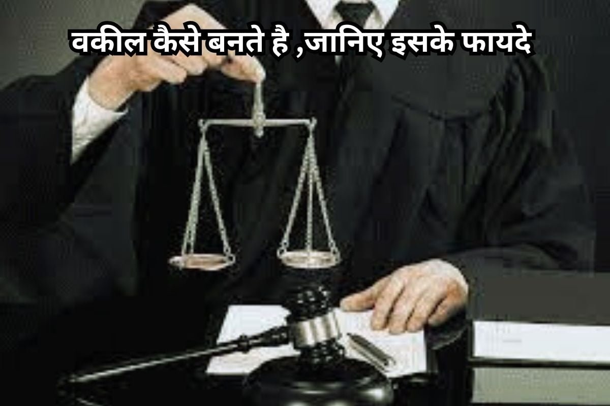 Sarkari Lawyer