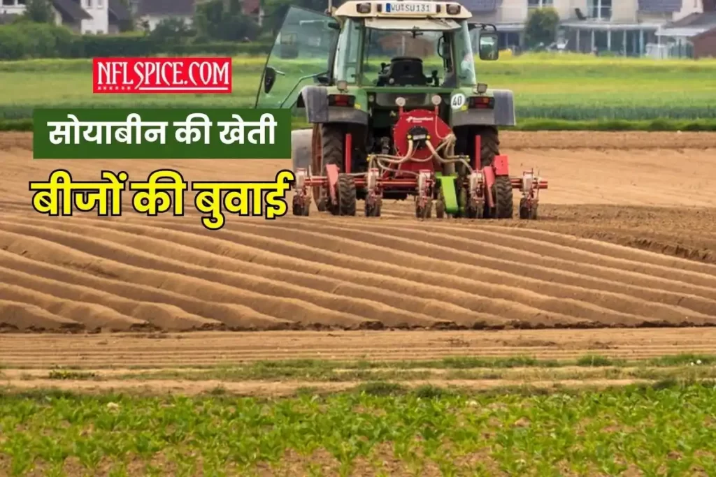 How to sow seeds in soybean cultivation