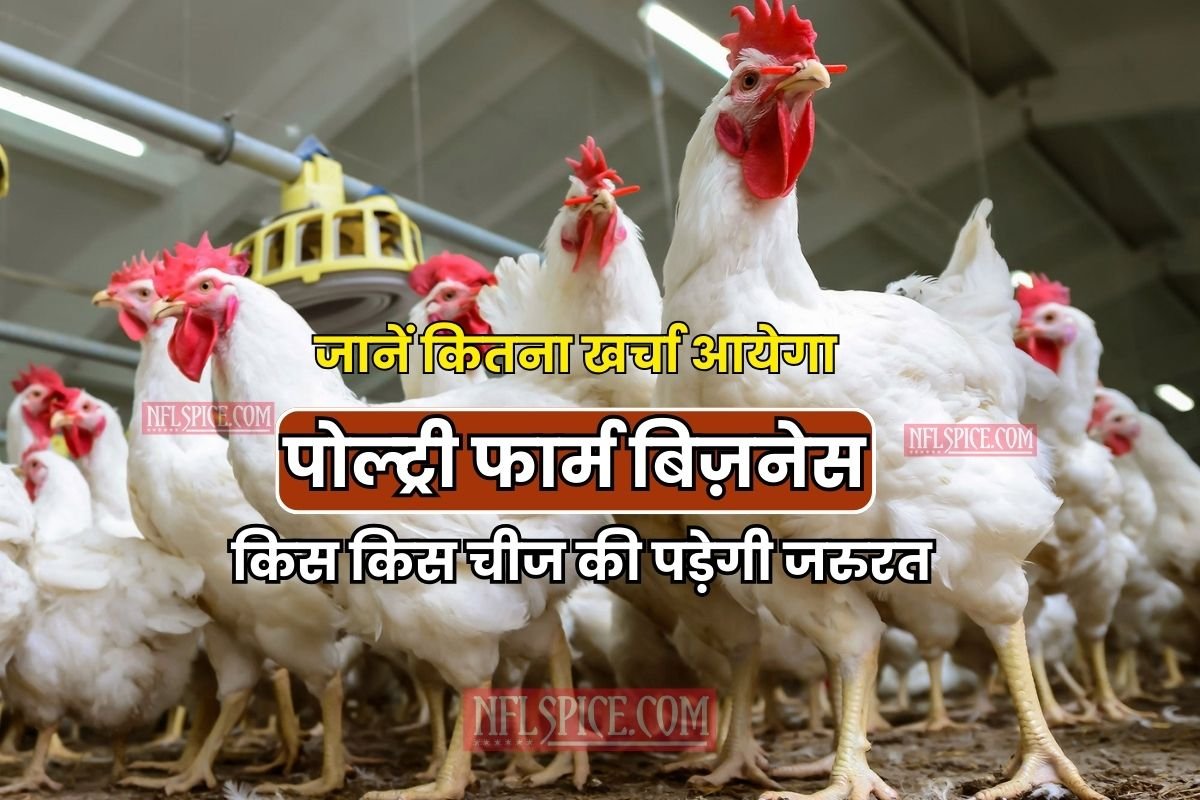 Poultry Farming Business