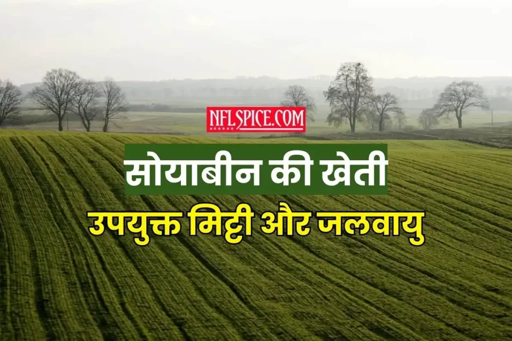 Suitable soil and climate for soybean cultivation