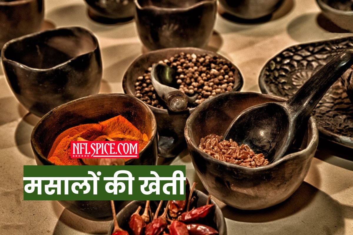 cultivation of spices