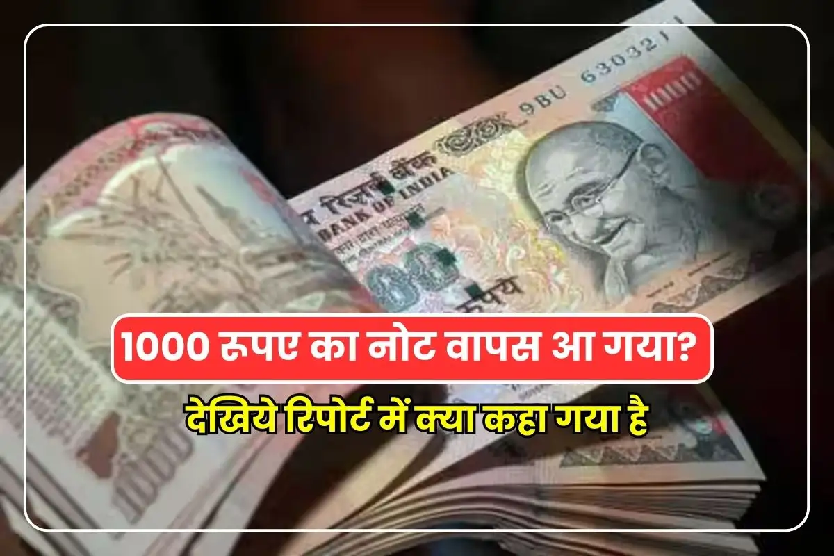 1000 Rupees Note 1000 Rupees note returned