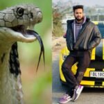 Big revelation by Elvish Yadav, singer Fazilpuriya had arranged snakes in the rave party