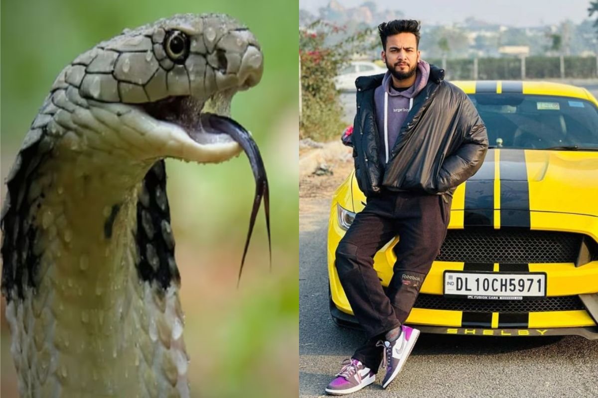 Big revelation by Elvish Yadav, singer Fazilpuriya had arranged snakes in the rave party