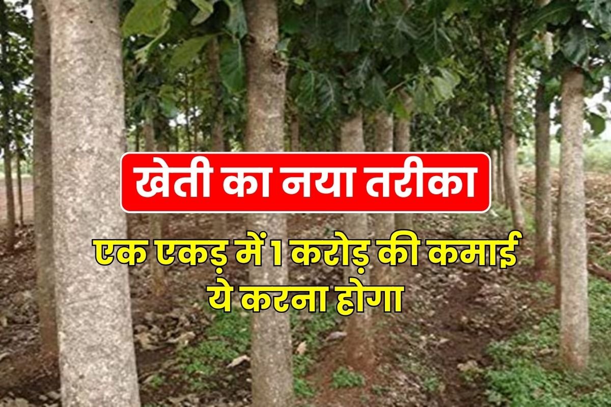 New method of farming, earning Rs 1 crore in one acre, this has to be done