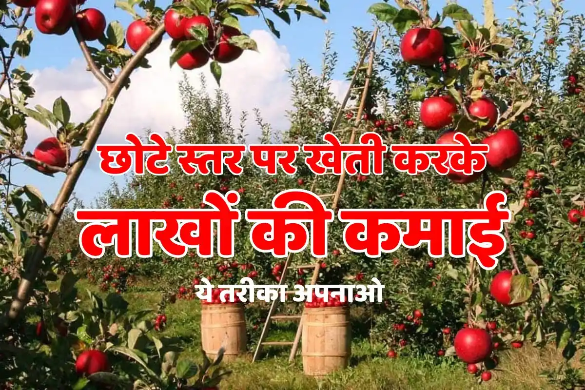 Earn lakhs of rupees by doing small scale farming, adopt this method
