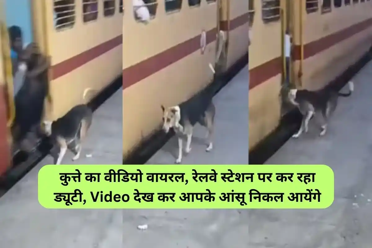 Video of dog going viral, doing duty at railway station