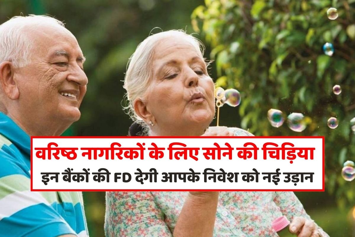 Golden bird for senior citizens: FD of these banks will give a new flight to your investment