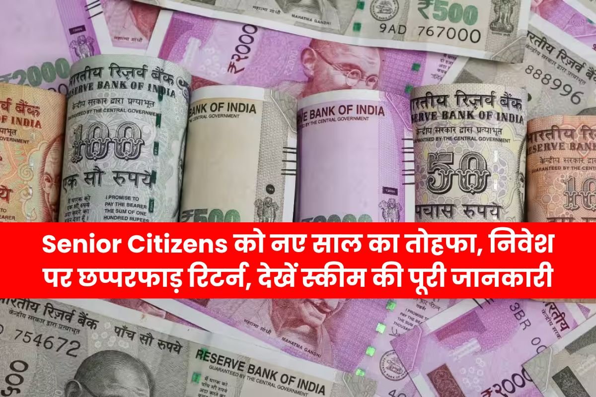 New Year gift to Senior Citizens, huge returns on investment, see complete details of the scheme