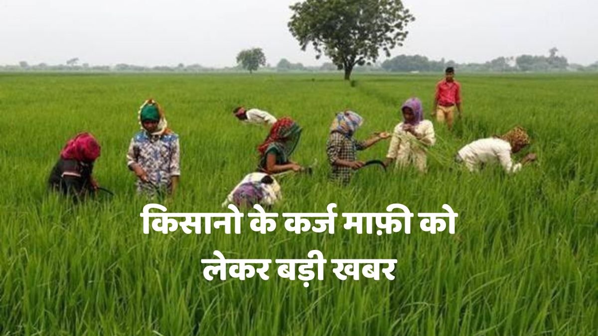 Big news regarding loan waiver of farmers, big decision of the government, interest penalty will be waived.