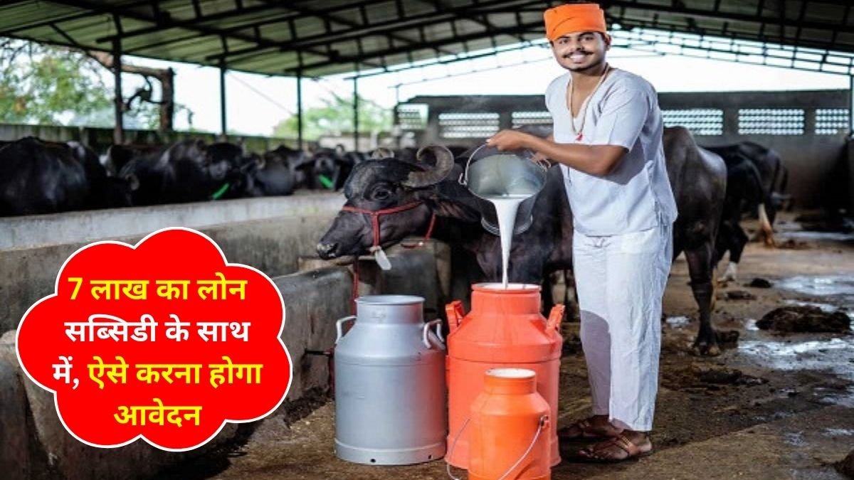 Those doing dairy farming will get a loan of Rs 7 lakh with subsidy, this is how they will have to apply.