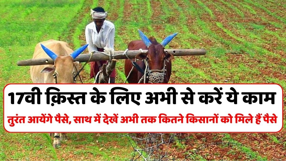 PM Kisan: Do this work now for the 17th installment of PM Kisan Yojana, it will be credited to your account immediately.