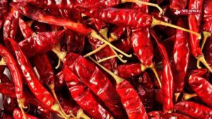 Is Eating Too Much Red Chilli Beneficial or Harmful for Health? Know What Experts Say