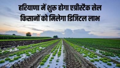 हरियाणा में शुरू होगा एग्रीस्टैक सेल, किसानों को मिलेगा डिजिटल लाभ