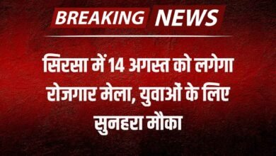सिरसा में 14 अगस्त को लगेगा रोजगार मेला, युवाओं के लिए सुनहरा मौका