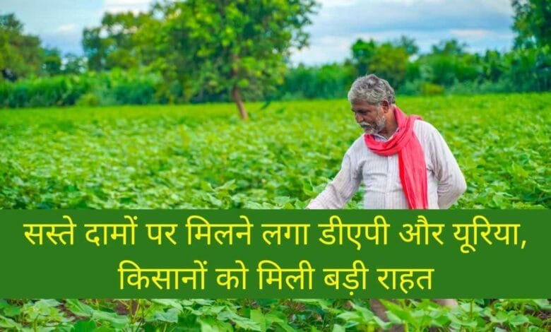 सस्ते दामों पर मिलने लगा डीएपी और यूरिया, किसानों को मिली बड़ी राहत