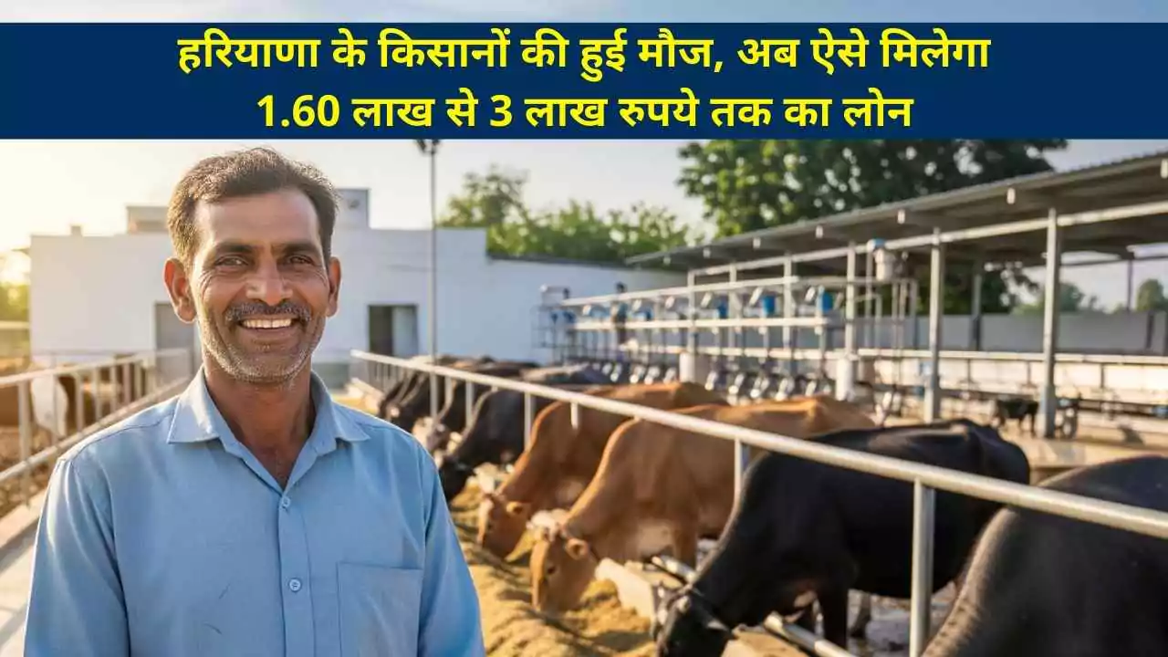 हरियाणा के किसानों की हुई मौज, अब ऐसे मिलेगा 1.60 लाख से 3 लाख रुपये तक का लोन