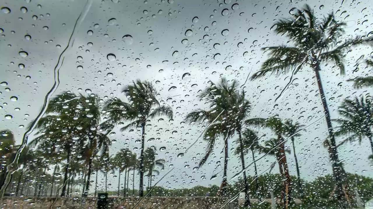 मौसम विभाग ने पूर्वोत्तर भारत के लिए जारी की चेतावनी, अगले कुछ दिनों में भारी बारिश की संभावना