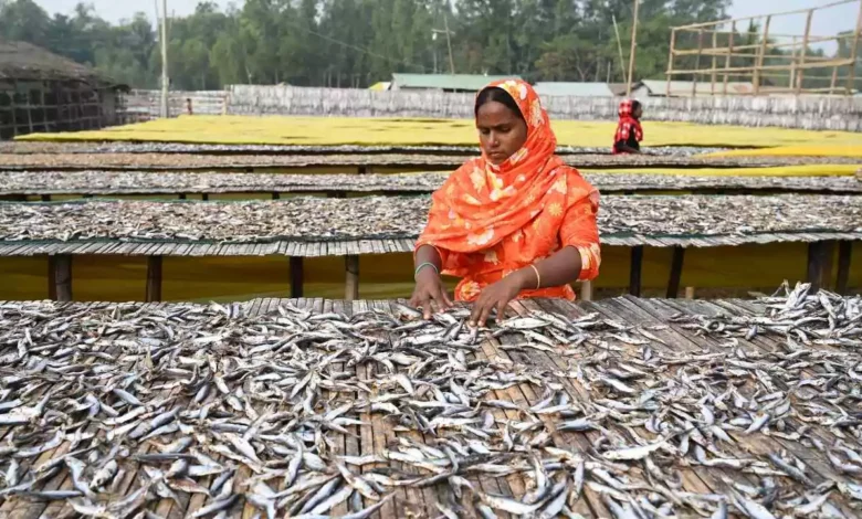 बिहार में मछली पालन को नई उड़ान: 35% सब्सिडी और डिजिटल सपोर्ट, कमाई में होगी बढ़ौतरी